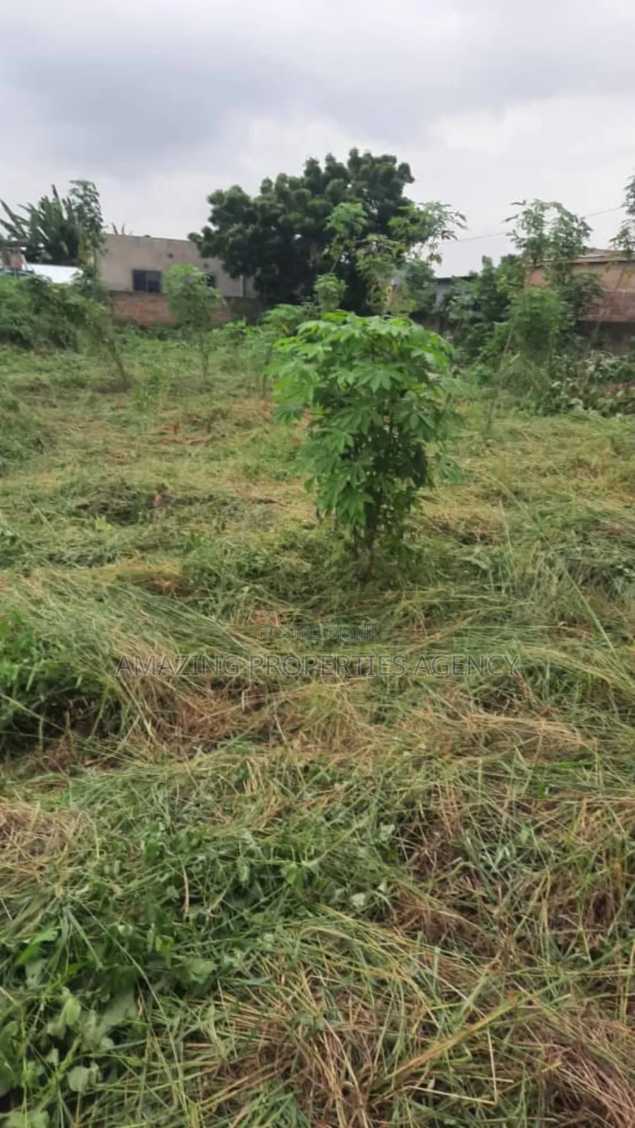 5000 Acres of Land at Asutuare in Lower Manya Krobo