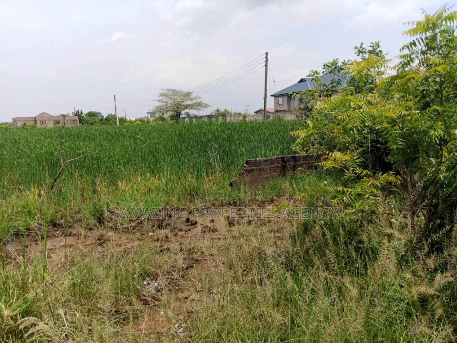 5 Acres of Land at Amasaman in Amasaman