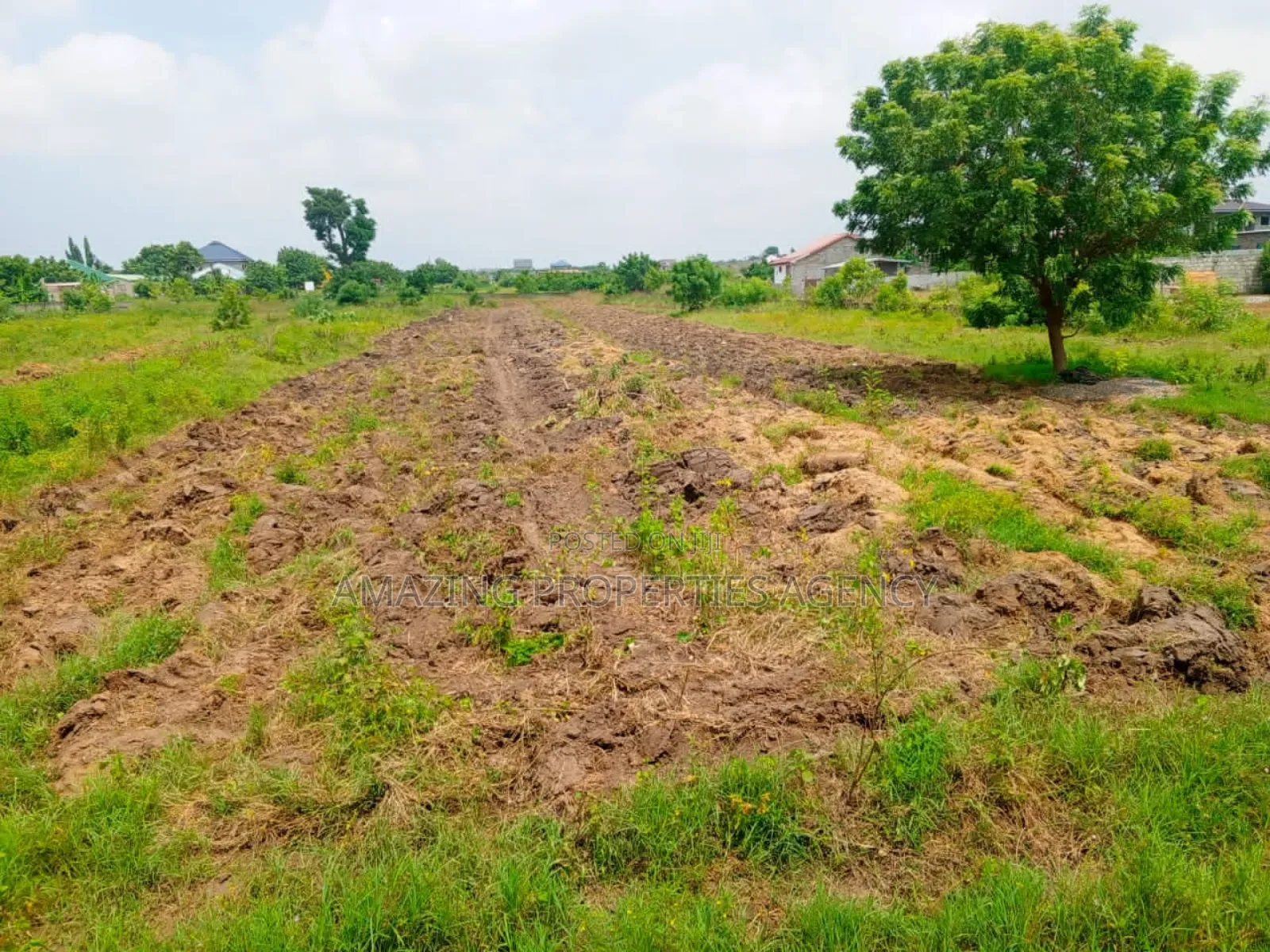 12 Acres of Land at Ajumador in Tema Metropolitan