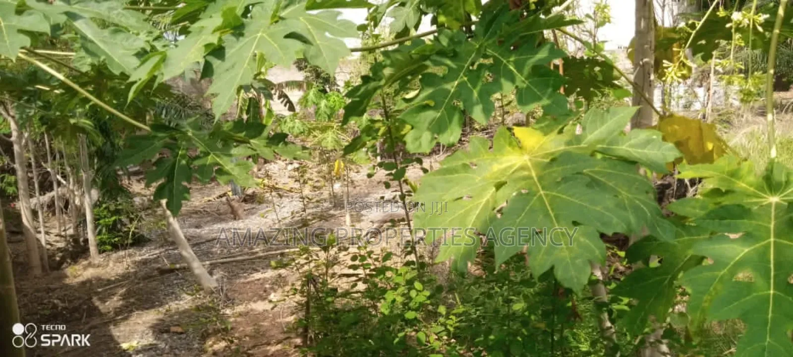 0.635 Acres Land for Sale at Cantonments in Cantonments