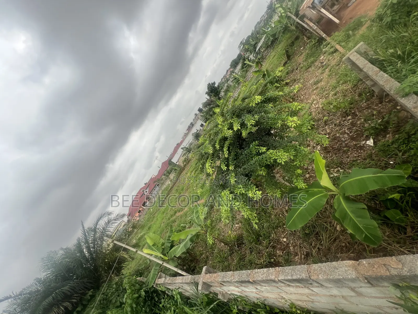 Two Plots of Land for Sale in Old Ashomang