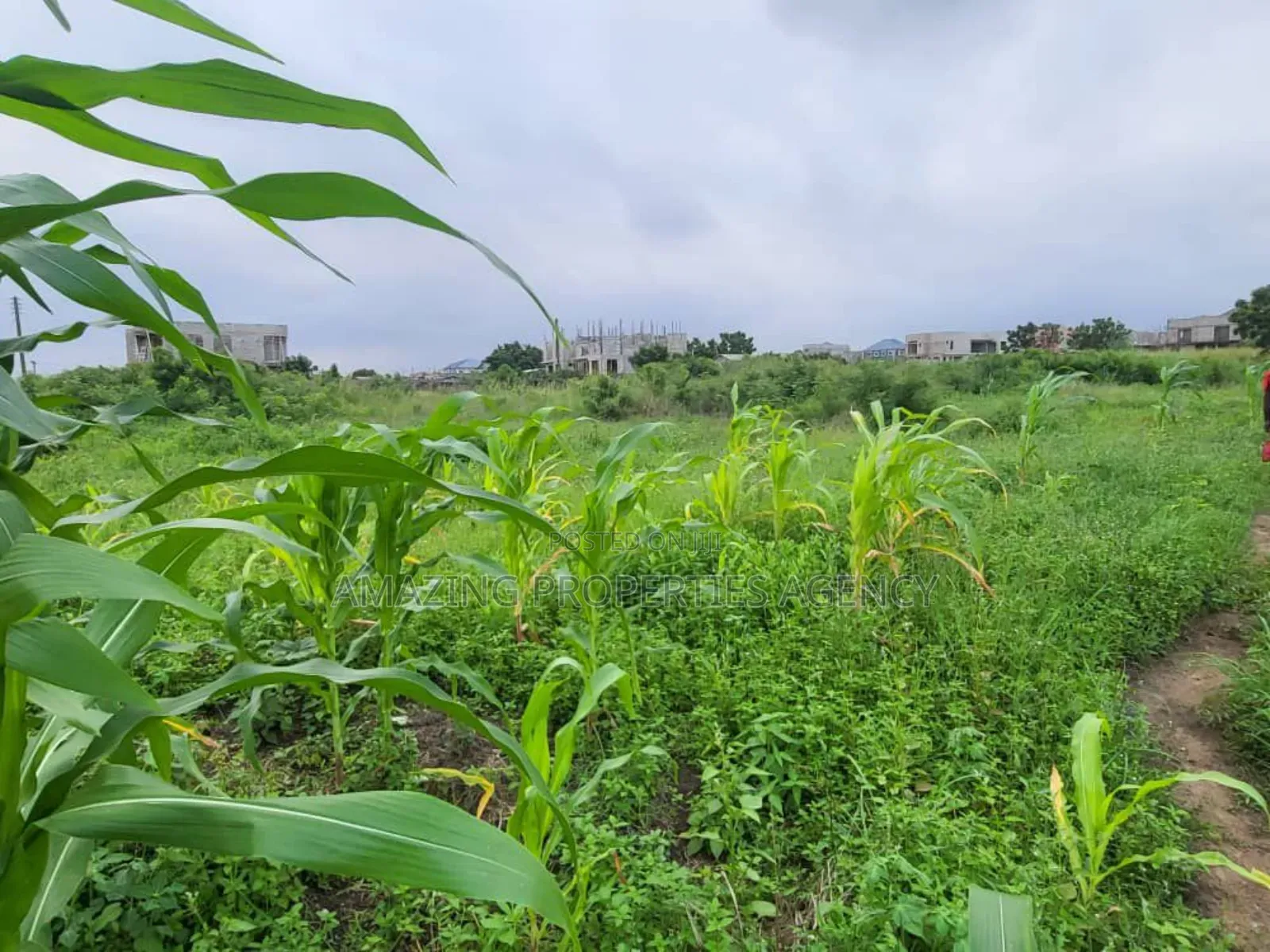 2 Plots of Land at West Trasacco in Adjiriganor