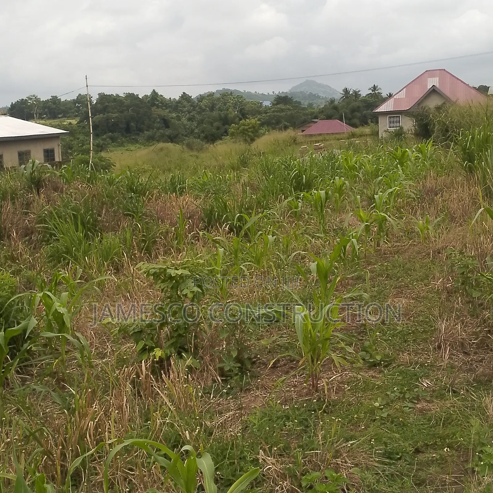 Residential Land for Sale in Ayensuano