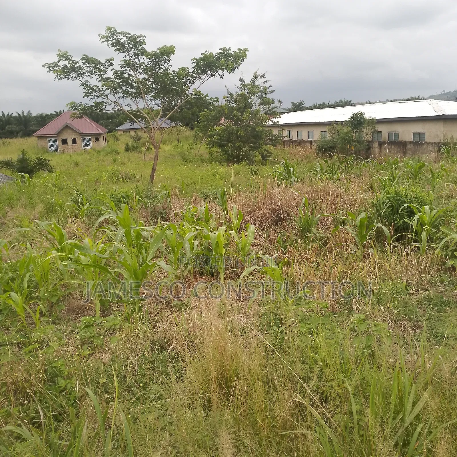 Residential Land for Sale in Ayensuano