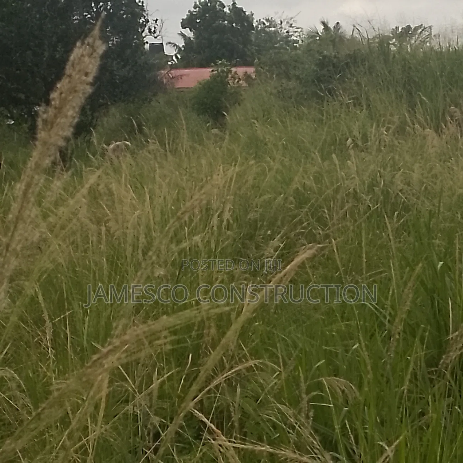 Residential Land for Sale in Ayensuano