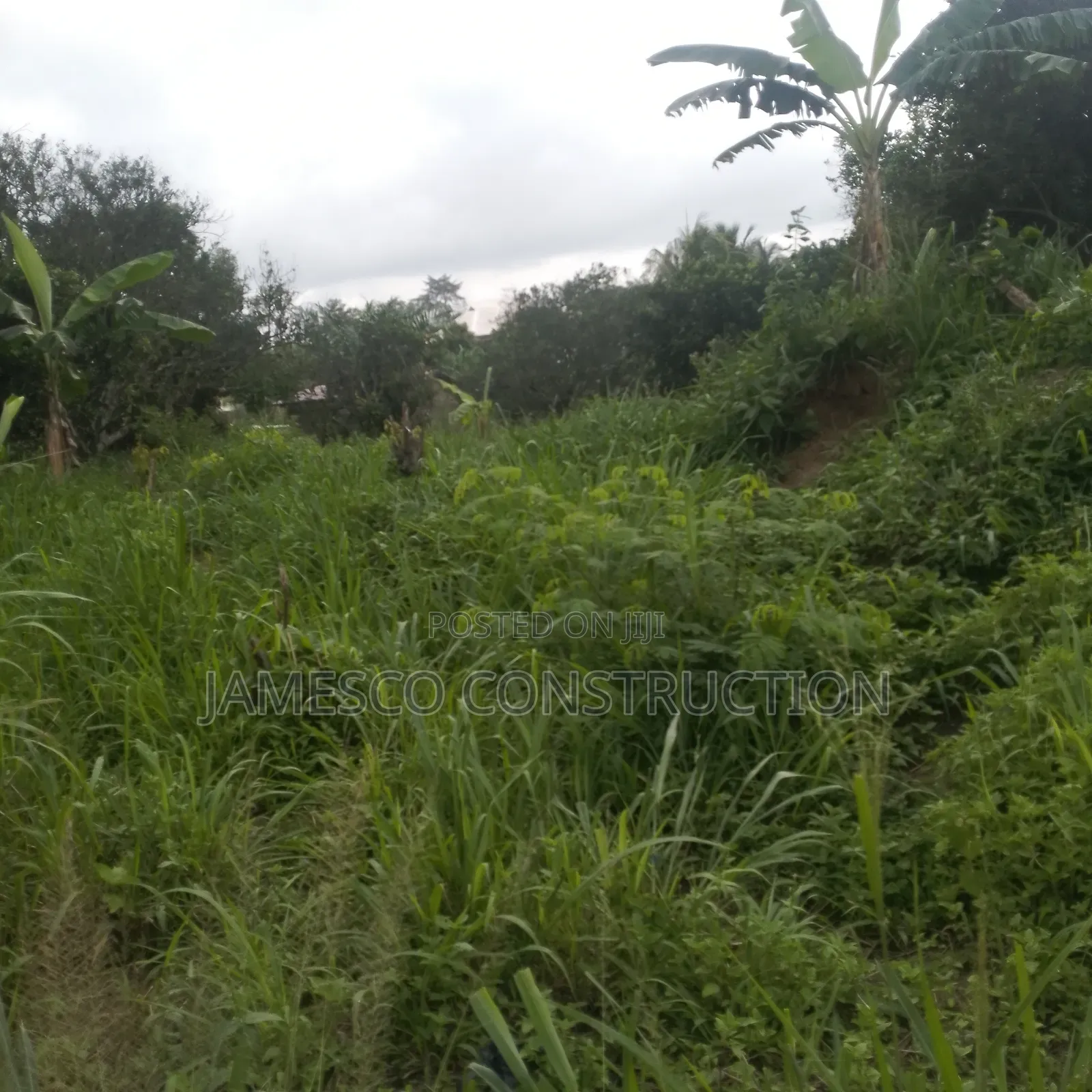 Farm Land for Sale in Ayensuano