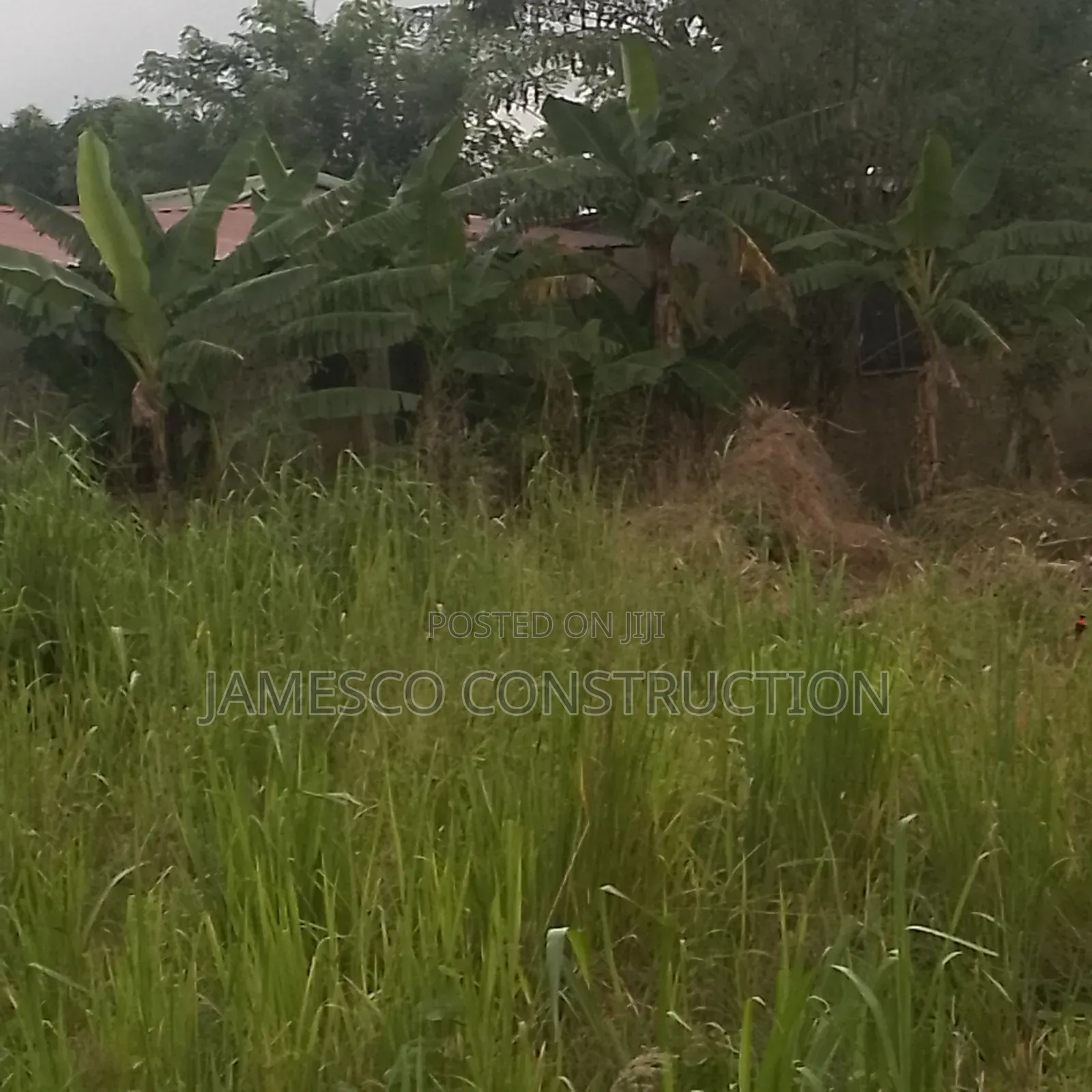 Farm Land for Sale in Ayensuano