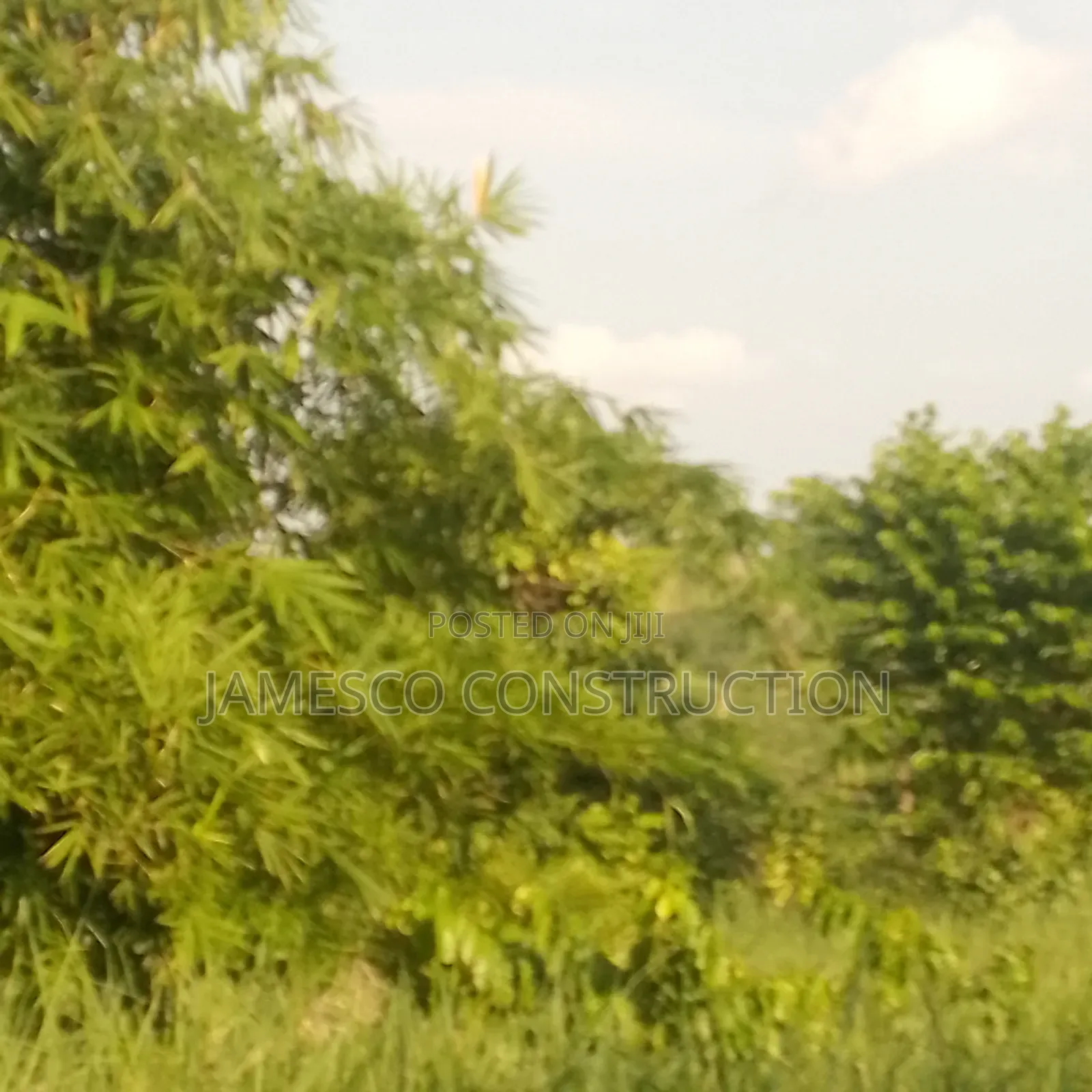 Farm Land for Sale in Ayensuano
