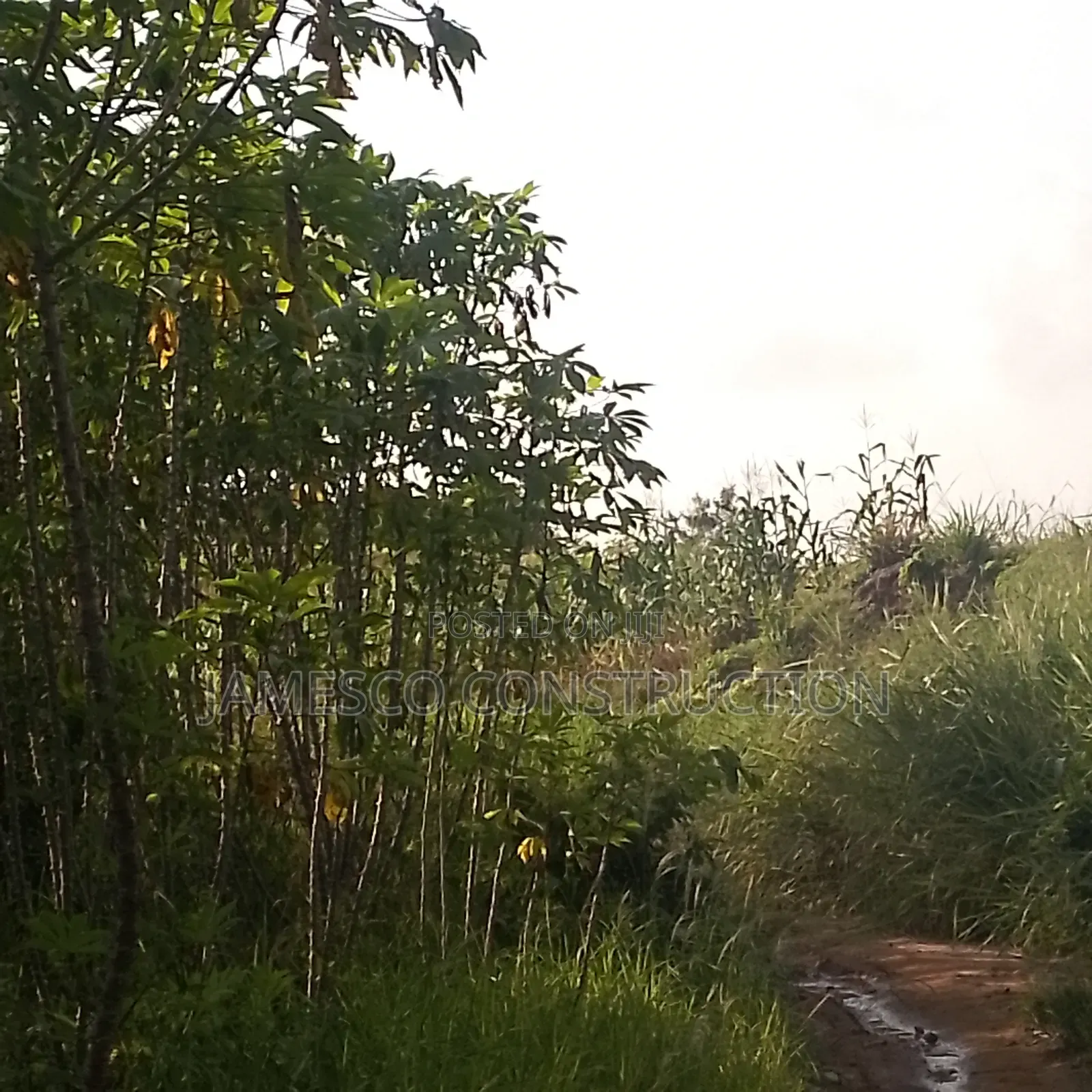 Farm Land for Sale in Ayensuano