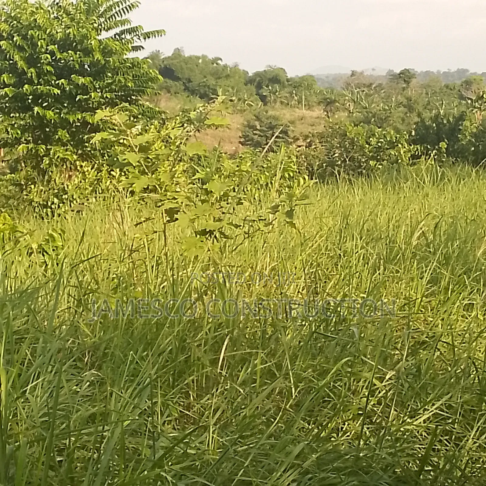 Farm Land for Sale in Ayensuano