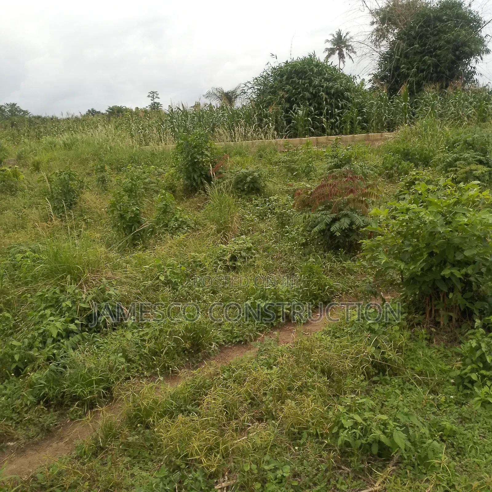 Residential Land for Sale in Ayensuano