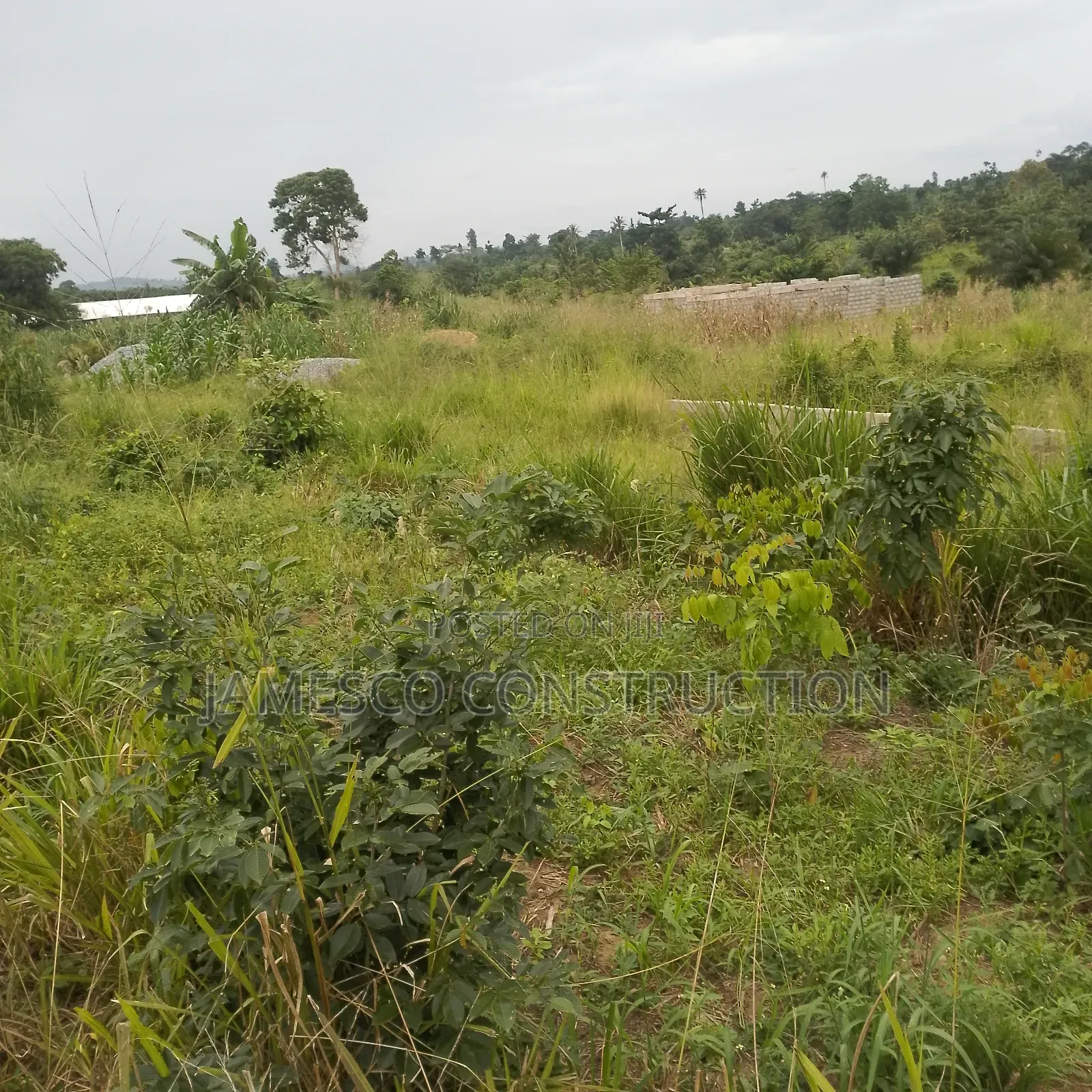 Residential Land for Sale in Ayensuano