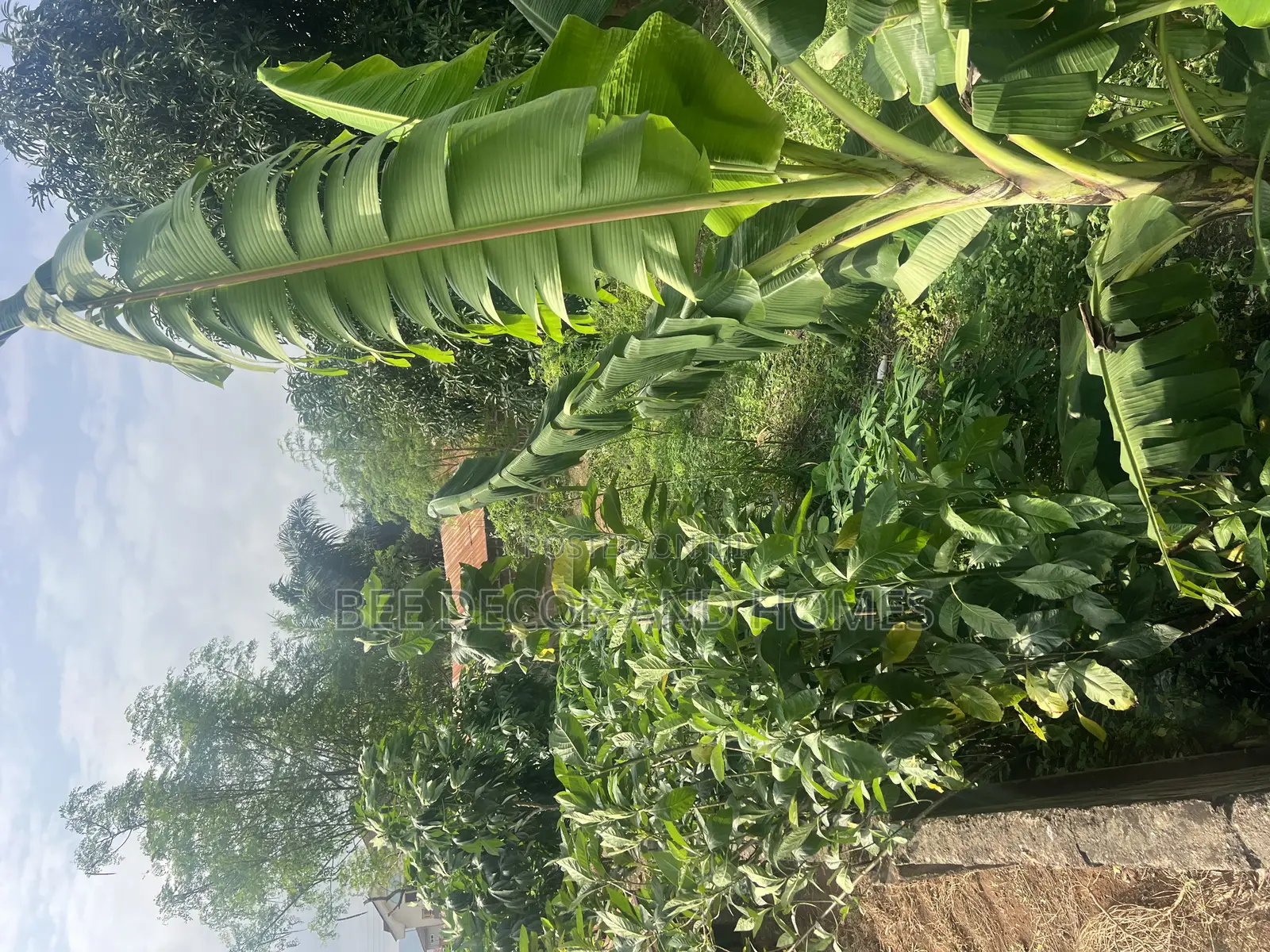 Good Positioned Land for Sale in Oyarifa