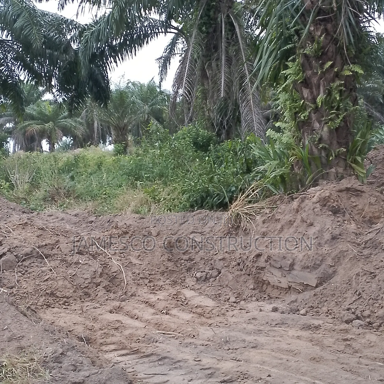 180 Acres of Registered Residential Land for Sale in Ayensuano