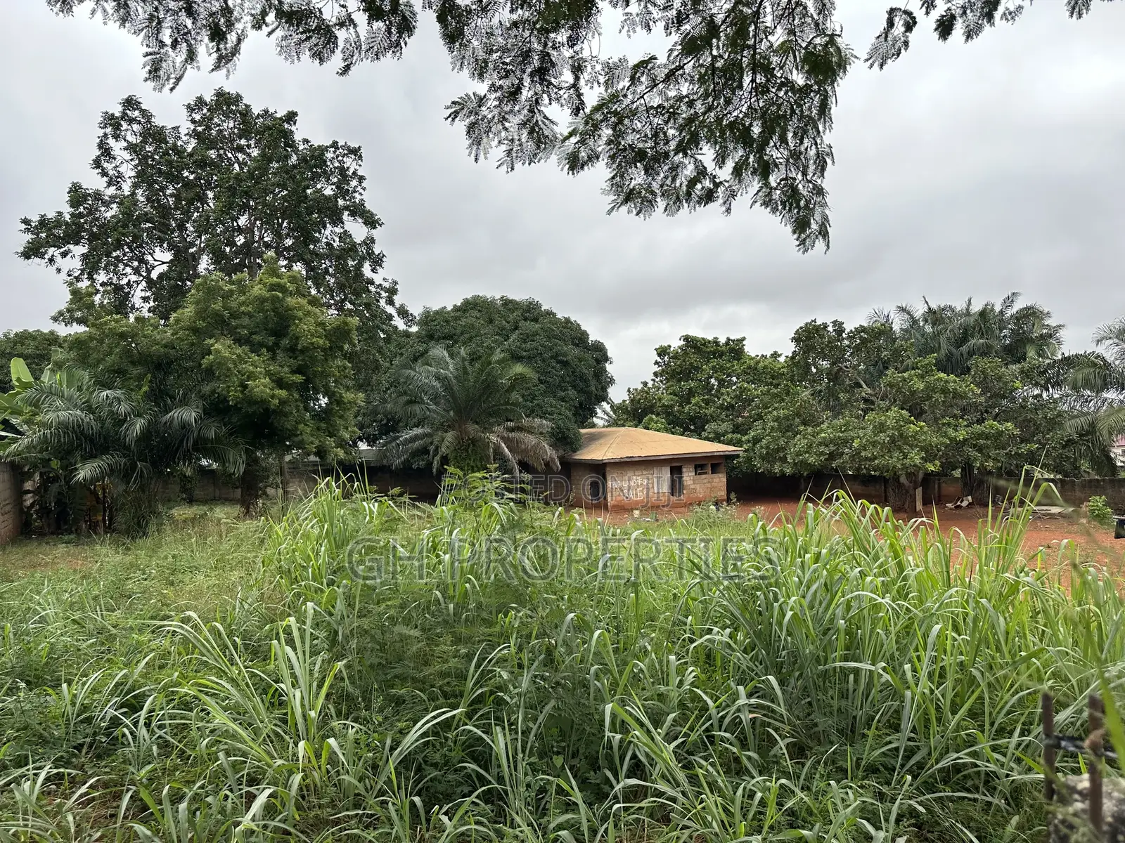 Plot for Sale at Paraku Estate in Kumasi Metropolitan