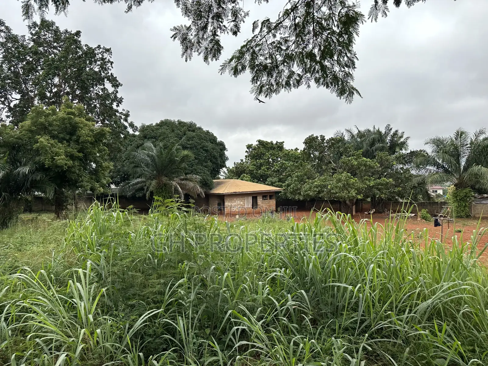 Plot for Sale at Paraku Estate in Kumasi Metropolitan