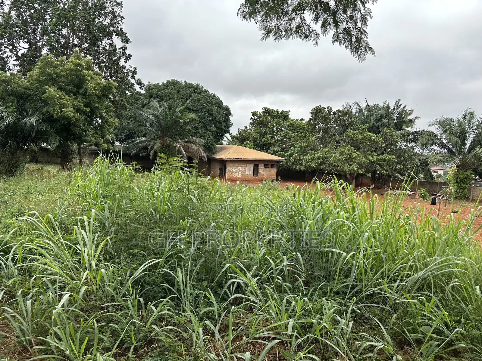 Plot for Sale at Paraku Estate in Kumasi Metropolitan