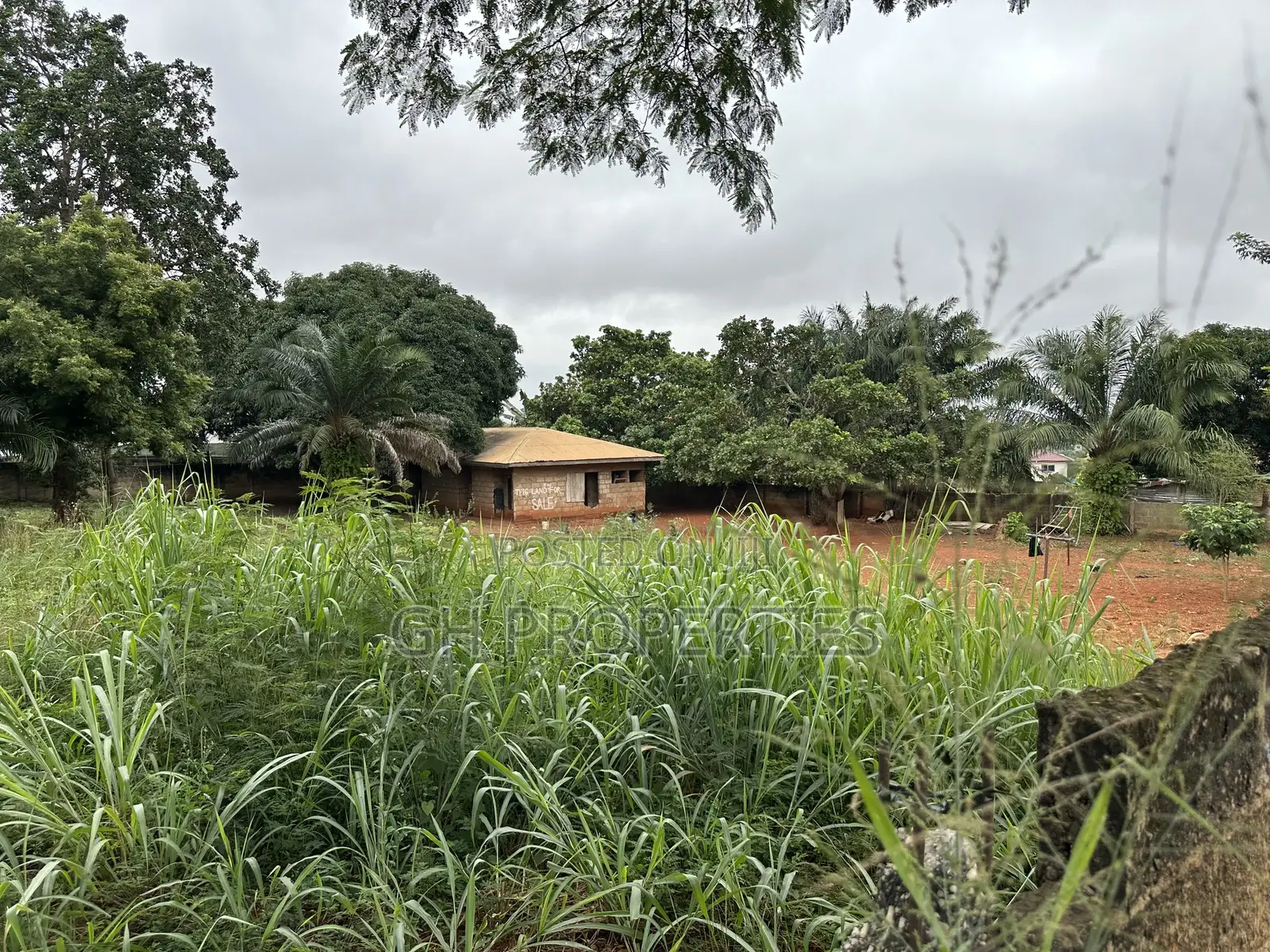 Plot for Sale at Paraku Estate in Kumasi Metropolitan