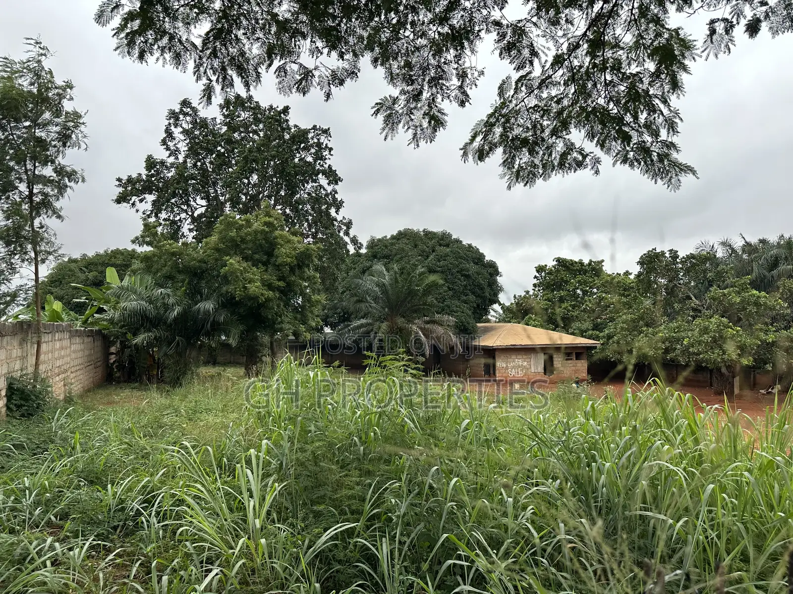 Plot for Sale at Paraku Estate in Kumasi Metropolitan