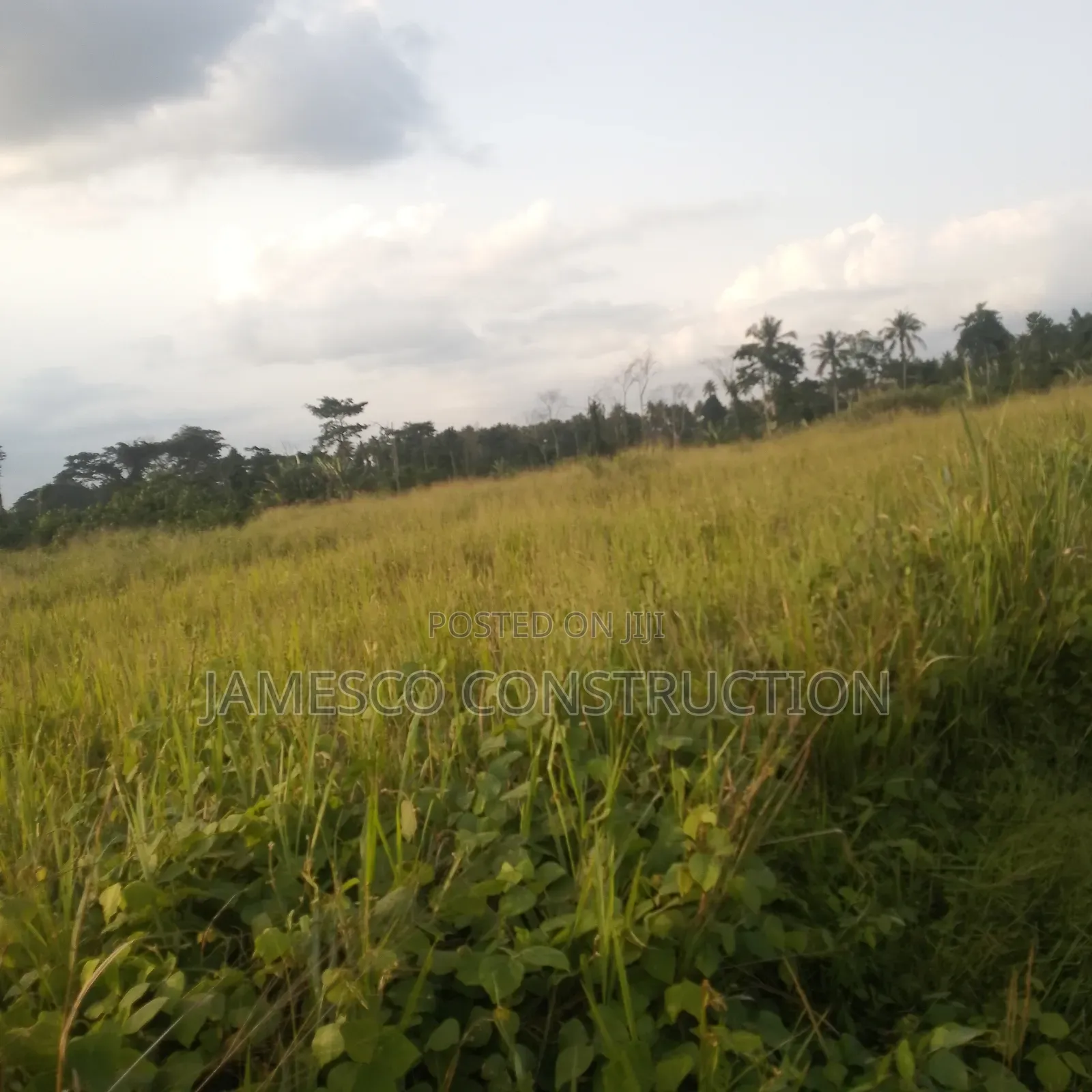 Farmland for Sale in Ayensuano
