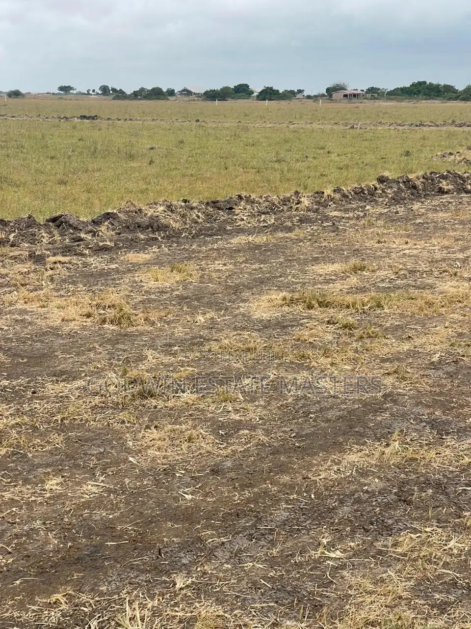 Litigation Free Plot at Tsopoli and Ningo Prampram 4 Sale. in Accra Metropolitan