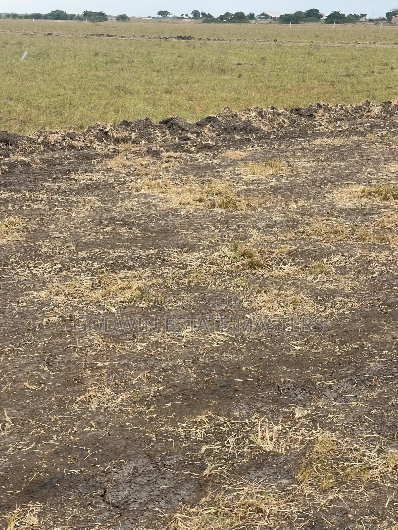 Litigation Free Plot at Tsopoli and Ningo Prampram 4 Sale. in Accra Metropolitan