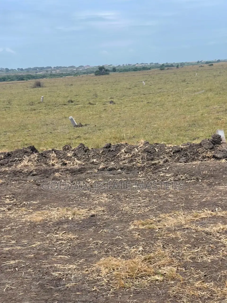 It Safe to Buy a Plot From Estate Masters Ltd. in Prampram