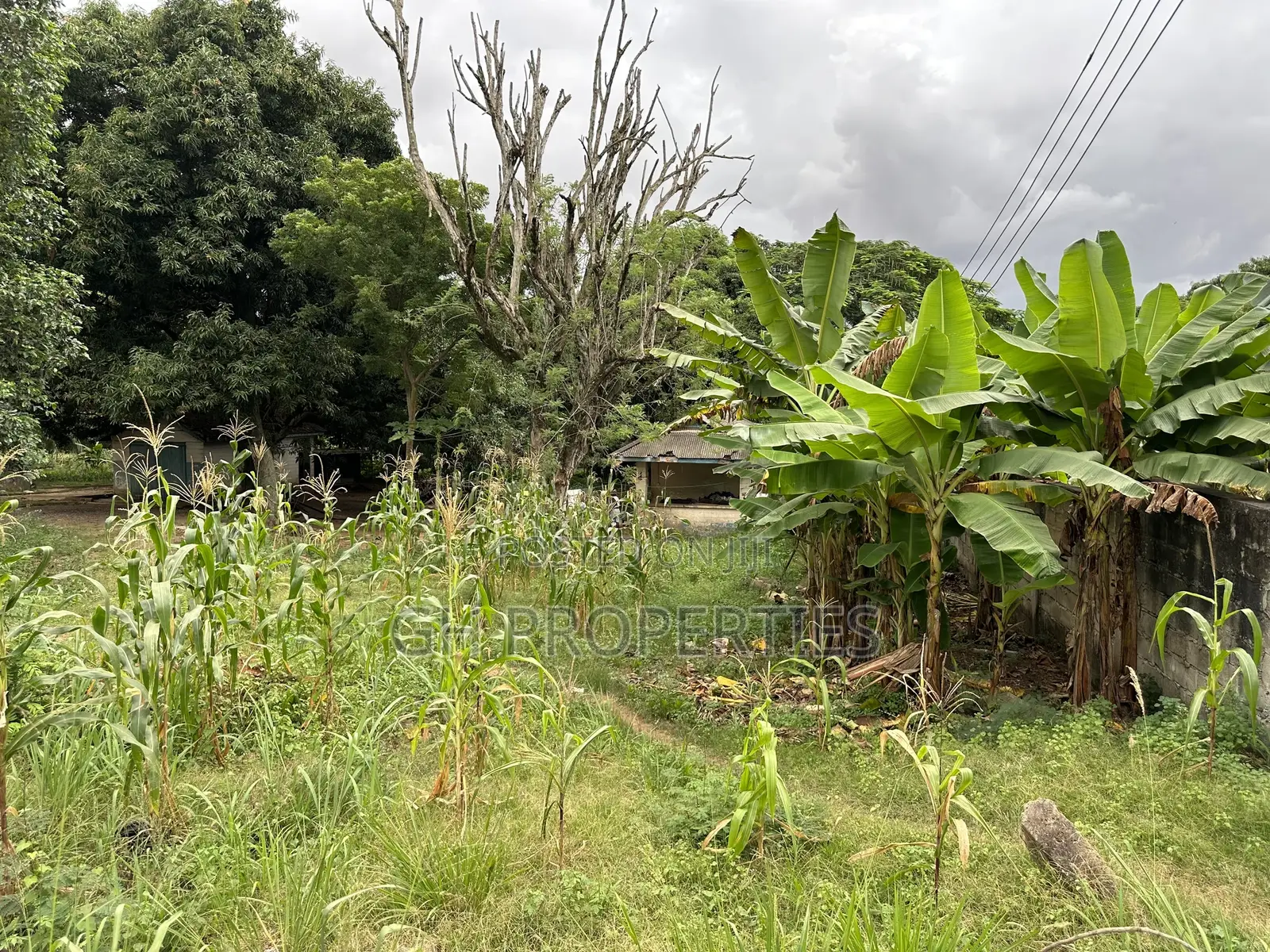 One and Half Acres at Ahodwo Roundabout to Ridge. in Kumasi Metropolitan