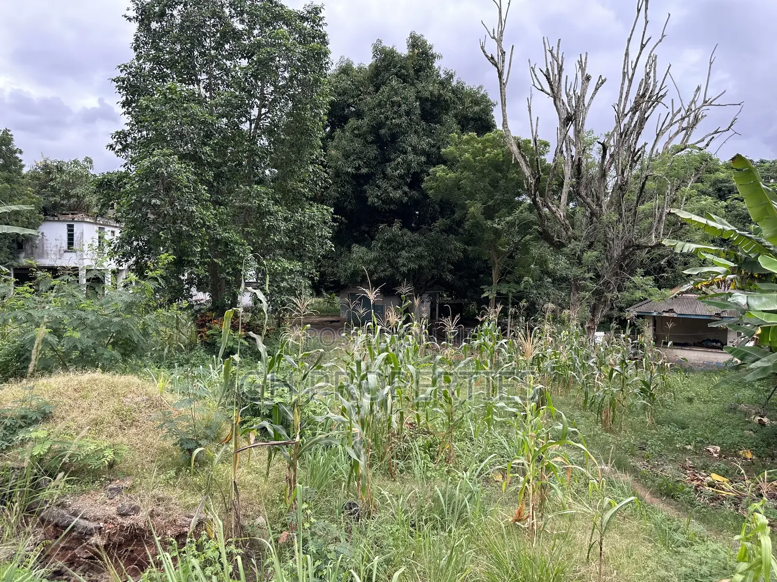 One and Half Acres at Ahodwo Roundabout to Ridge. in Kumasi Metropolitan