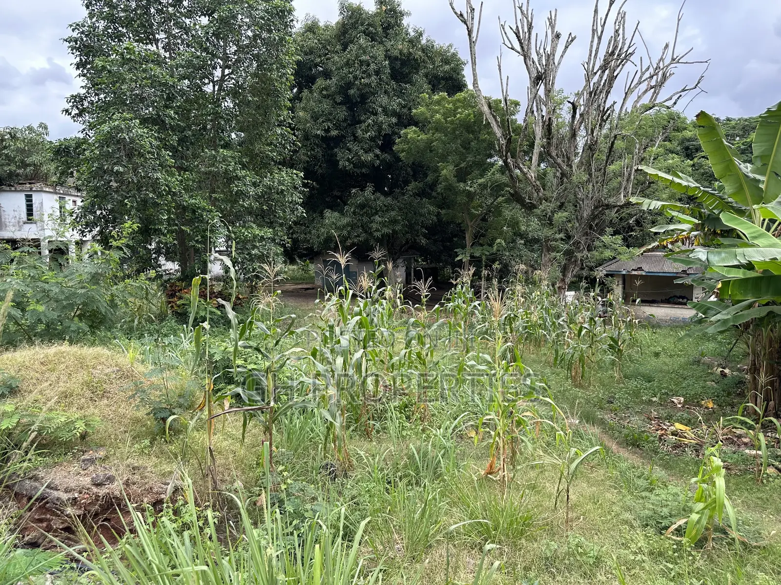 One and Half Acres at Ahodwo Roundabout to Ridge. in Kumasi Metropolitan