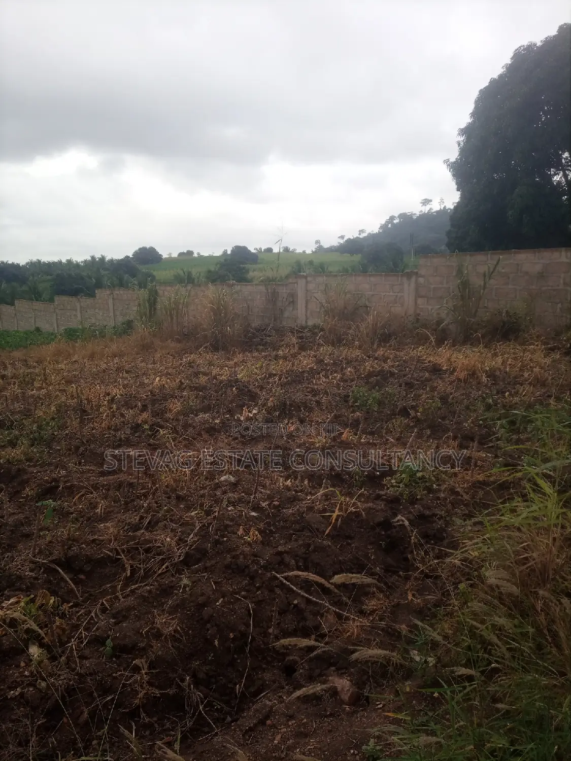 Registered Real Estate Land at Kasoa Adawukwa for Sale in Awutu Senya East Municipal