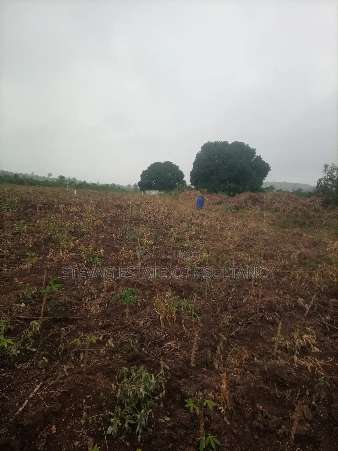 Registered Real Estate Land at Kasoa Adawukwa for Sale in Awutu Senya East Municipal