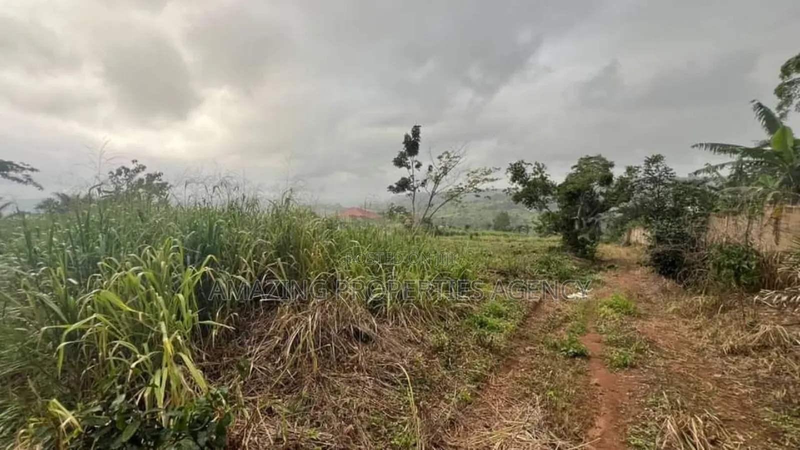 5 Plots of Land at Aburi in Aburi