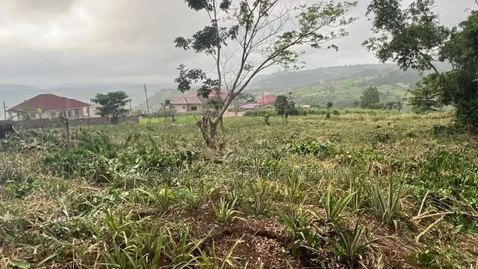 5 Plots of Land at Aburi in Aburi