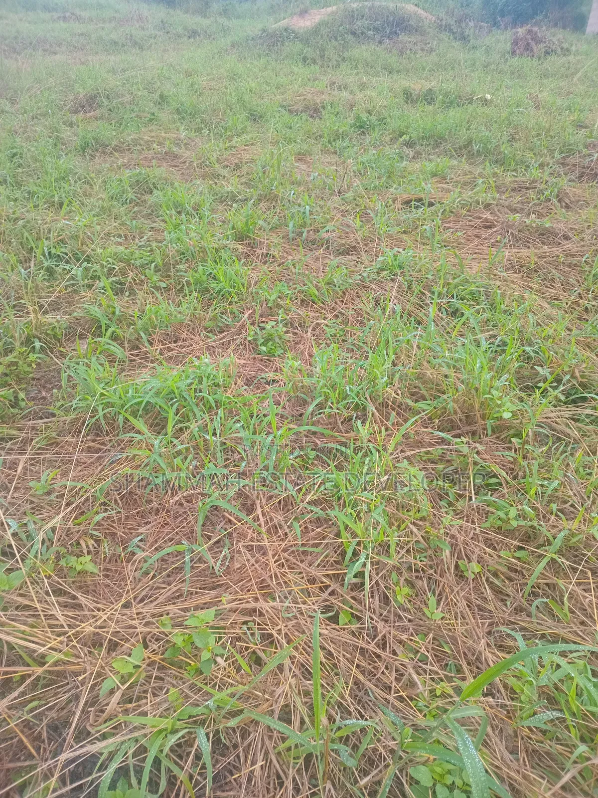 Farmland for Sale in Kintampo South