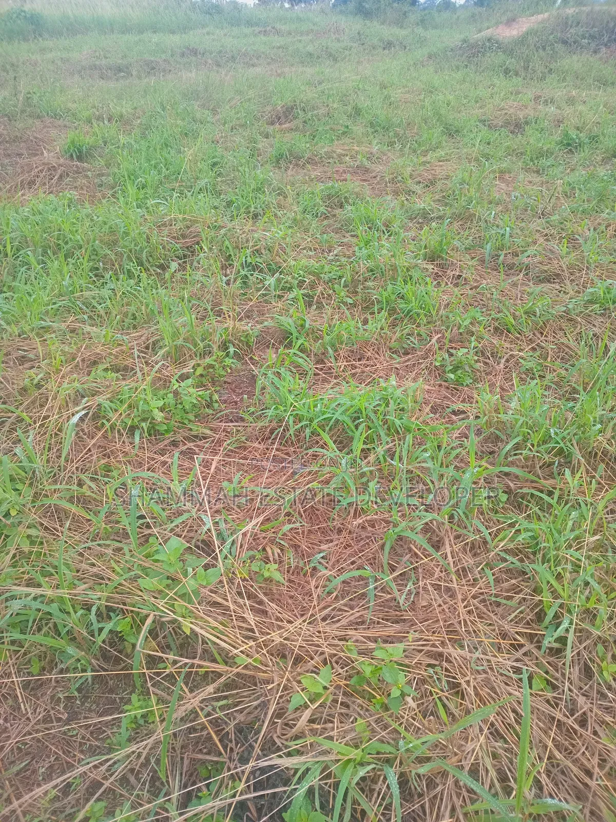 Farmland for Sale in Kintampo South
