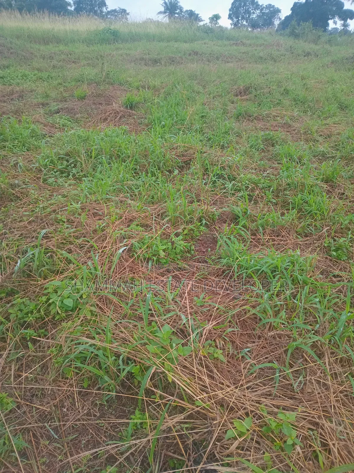 Farmland for Sale in Kintampo South