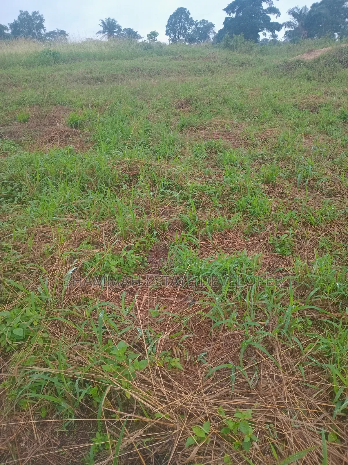 Farmland for Sale in Kintampo South