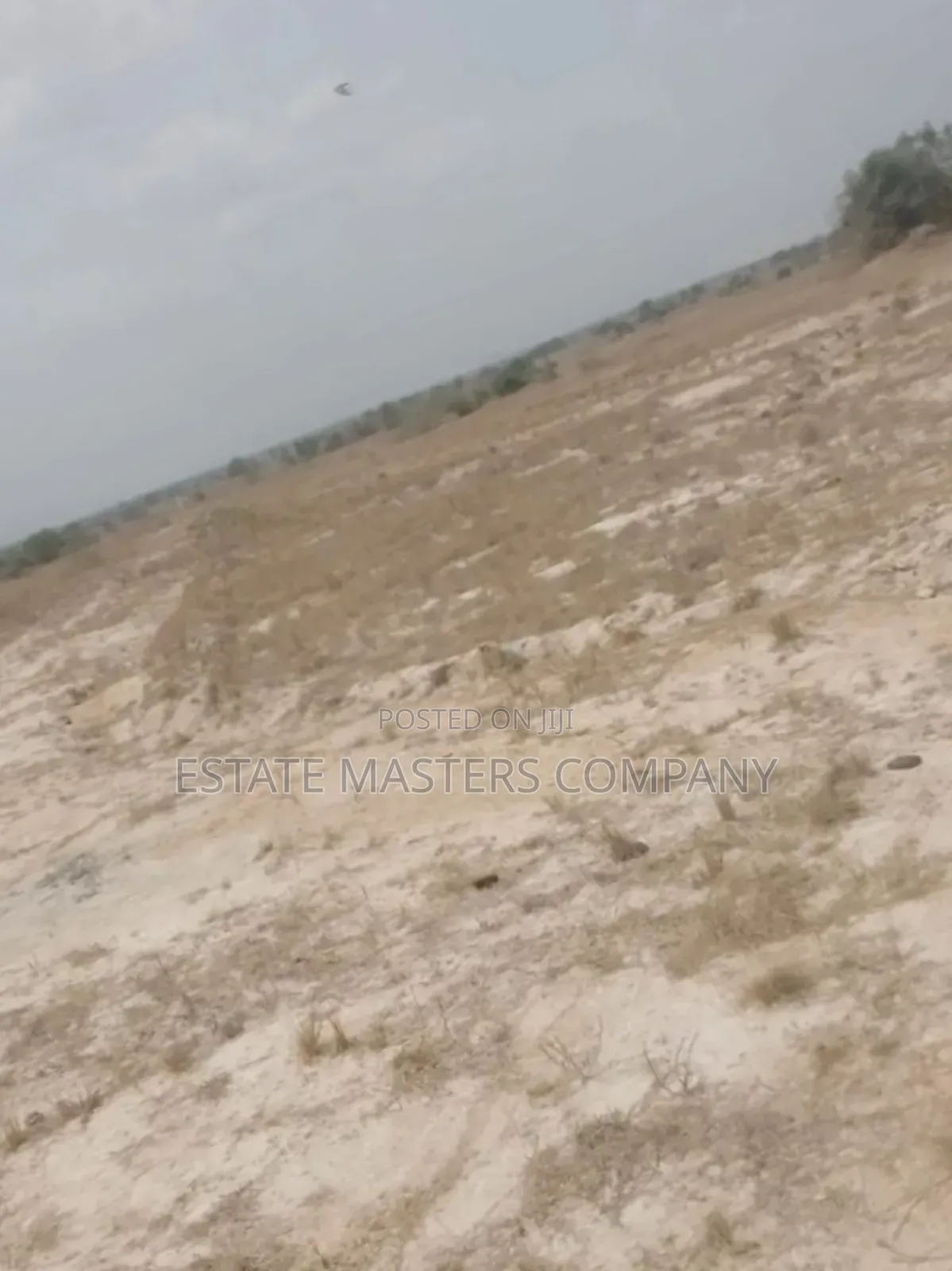 Profitable Land Available at Tsopoli in Prampram