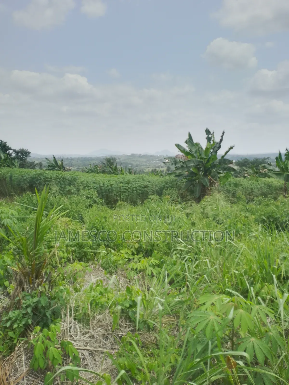 Registered 20 Acres of Farmland for Sale at Asuboi Otumfo in Ayensuano