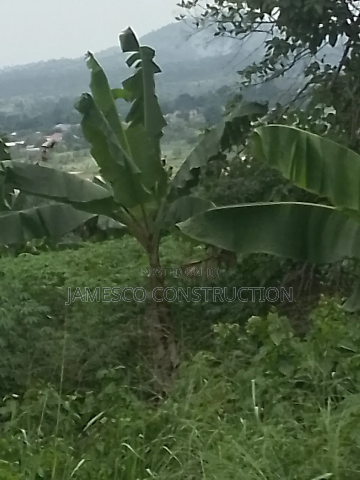 Farmland for Sale at Asuboi Annum in Ayensuano