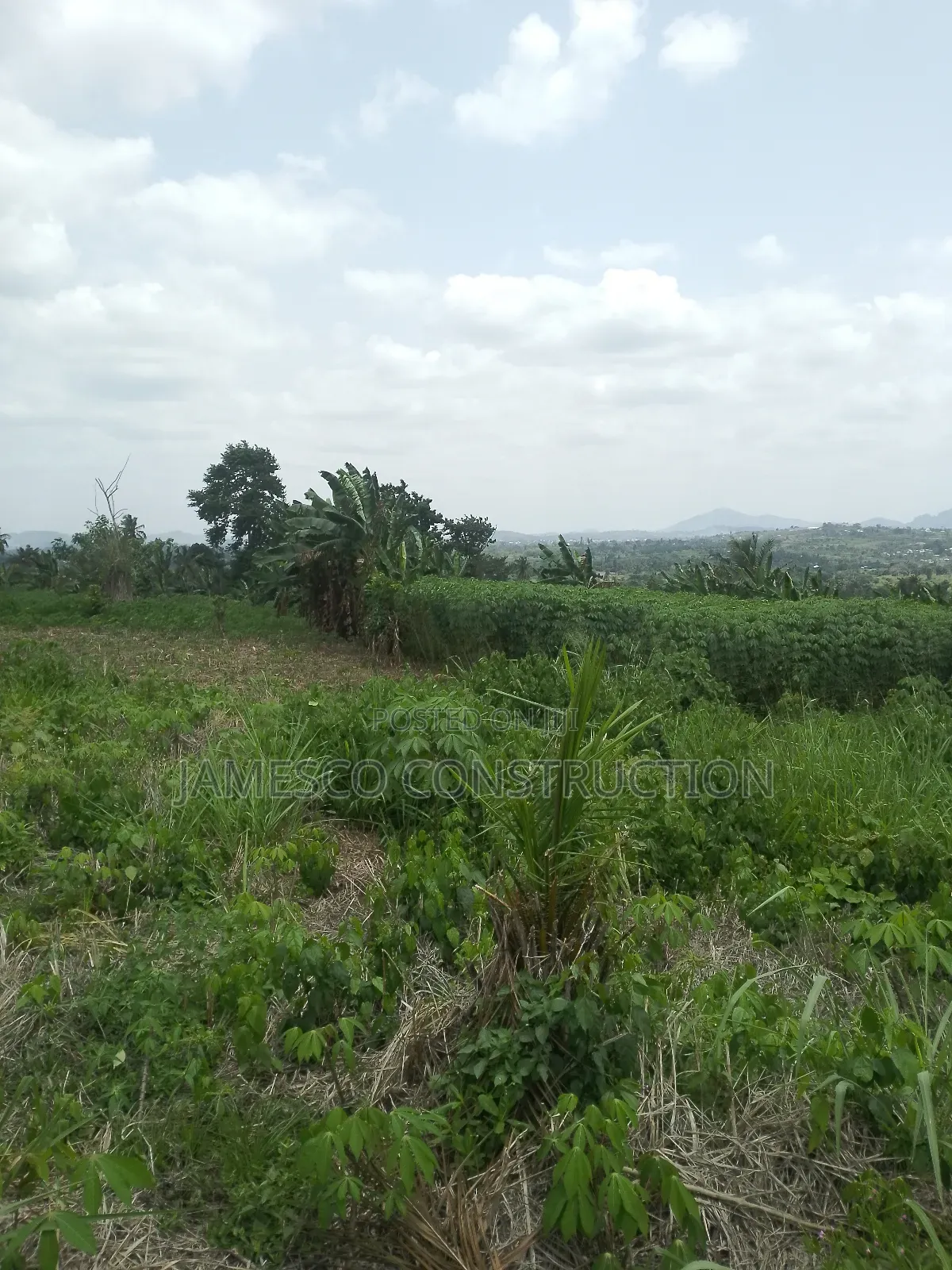 Farmland for Sale at Asuboi Annum in Ayensuano