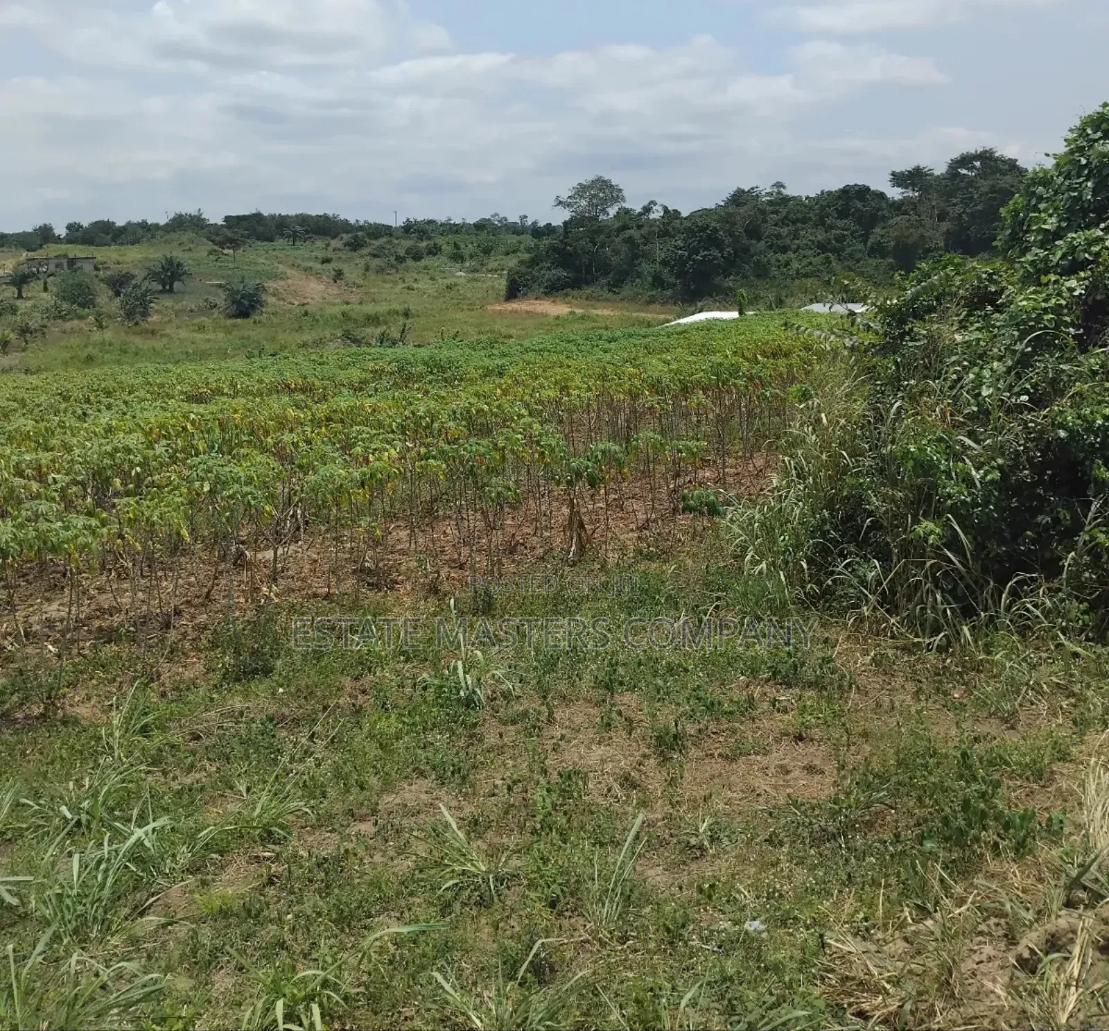 Straight Forward Land Available at Panfokrom in Gomoa East