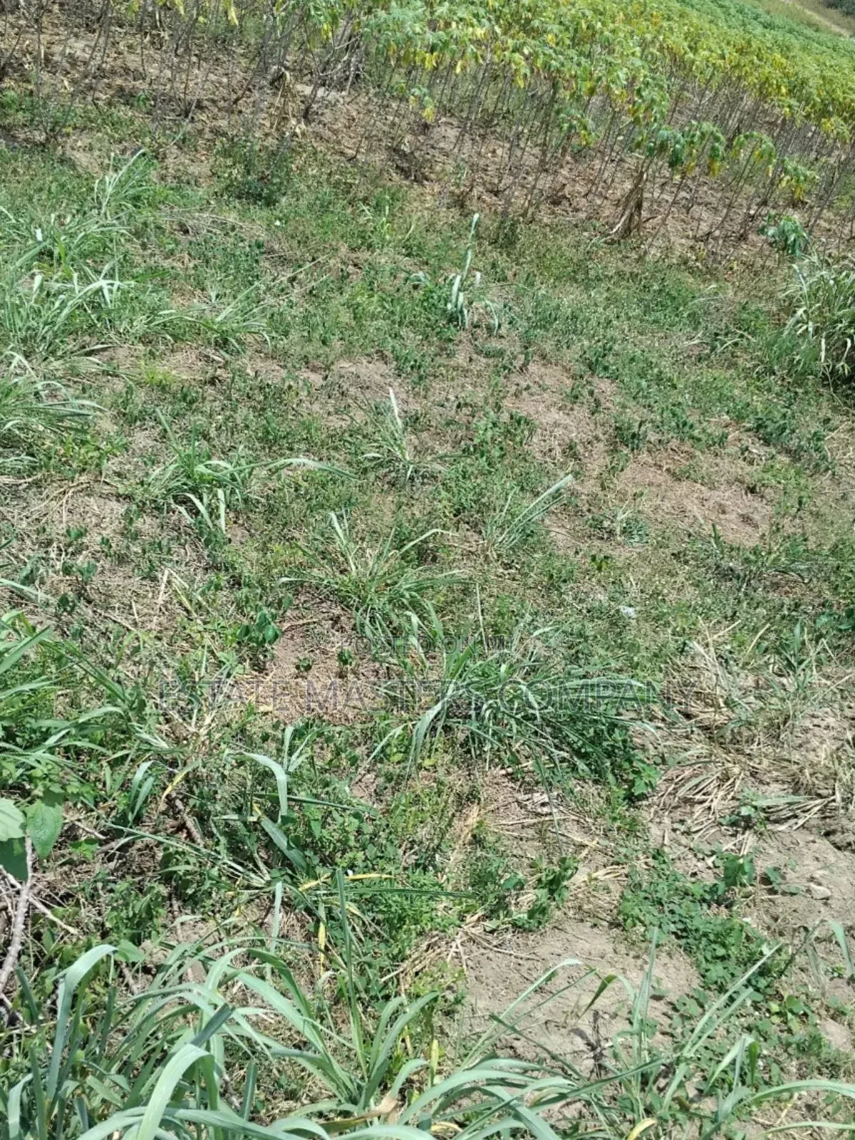 Natural Environment to Build in Kasoa