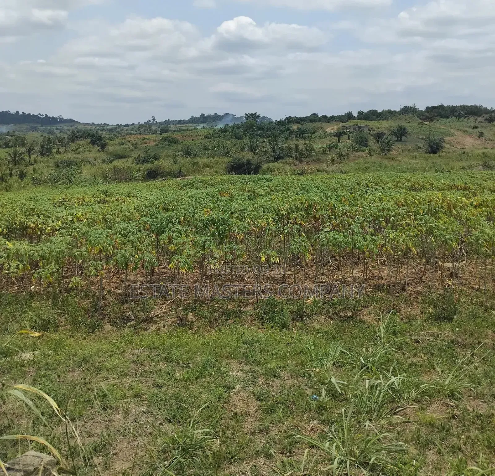 Land in Good Shape in Kasoa