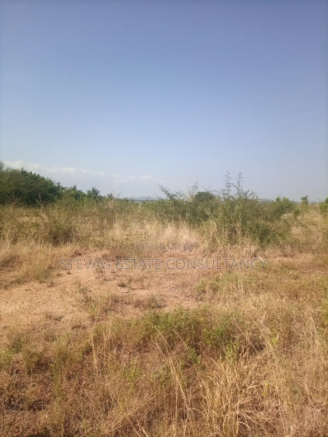 Alpha Properties Land at Winneba for Sale in Effutu Municipal