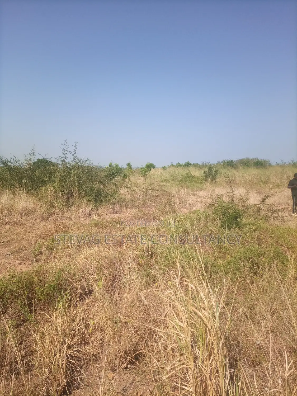 Alpha Properties Land at Winneba for Sale in Effutu Municipal