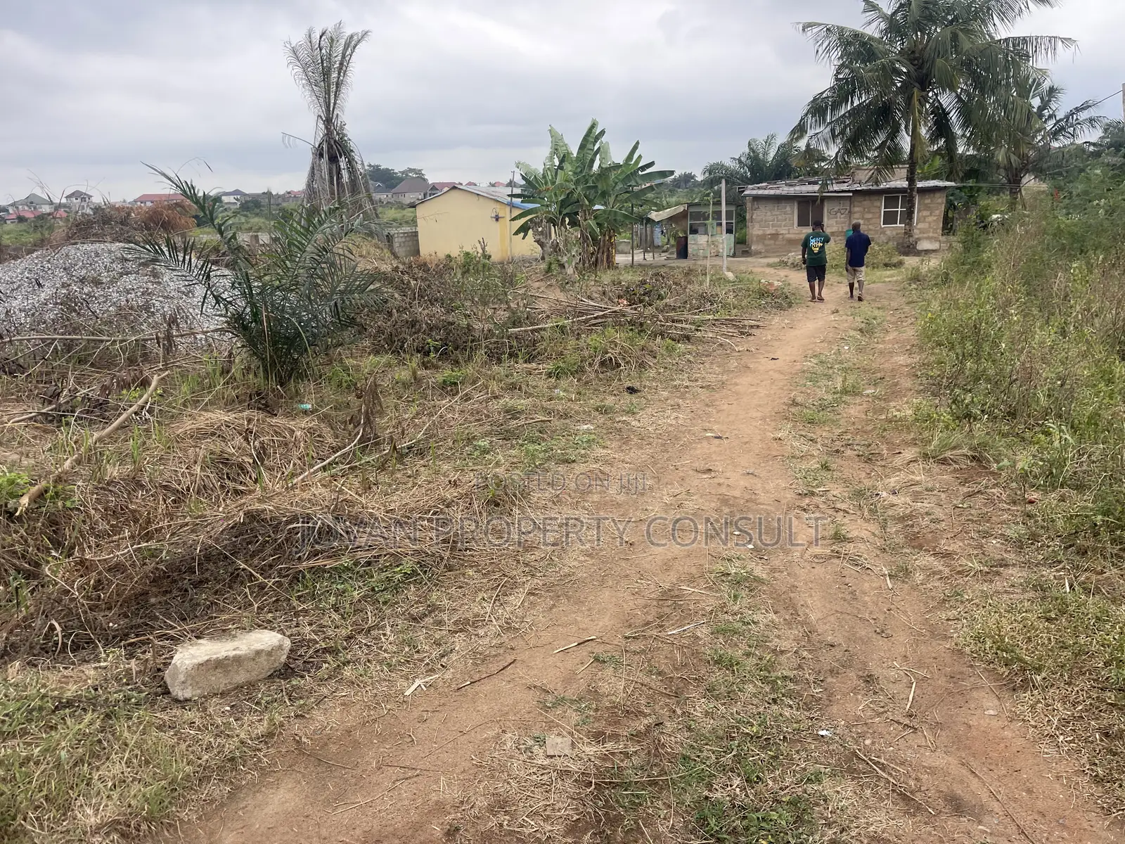 Land for Sale at Amasaman Cocoboard 300,000 Cedis in Ga West Municipal