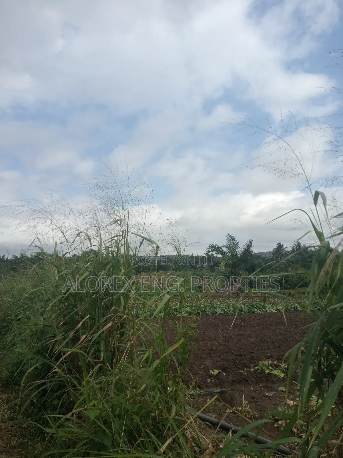 Acre of Land for Sale Aburi Nsawam Road in Akuapim South