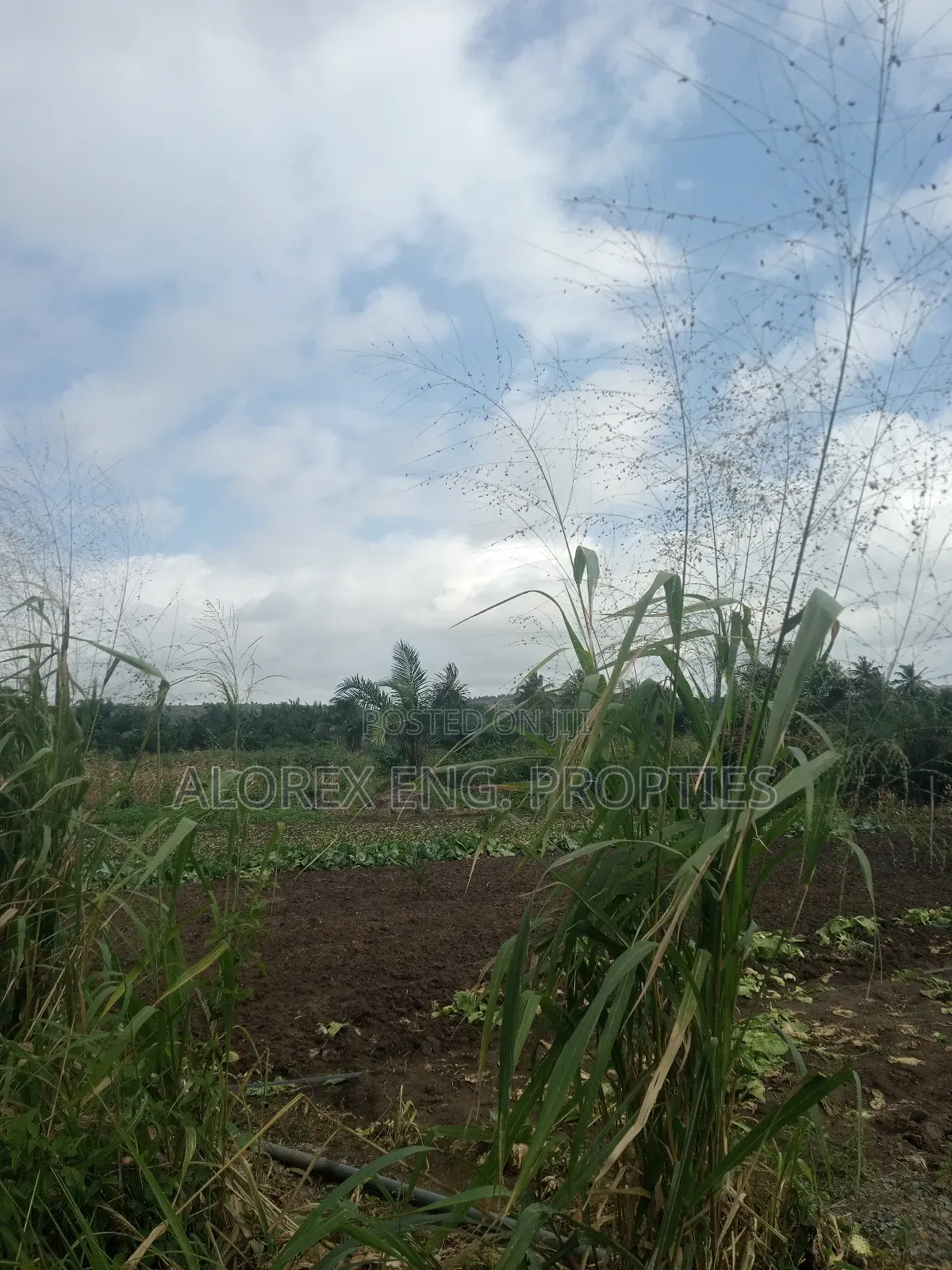 Acre of Land for Sale Aburi Nsawam Road in Akuapim South